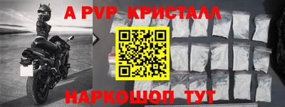 тгк Гай